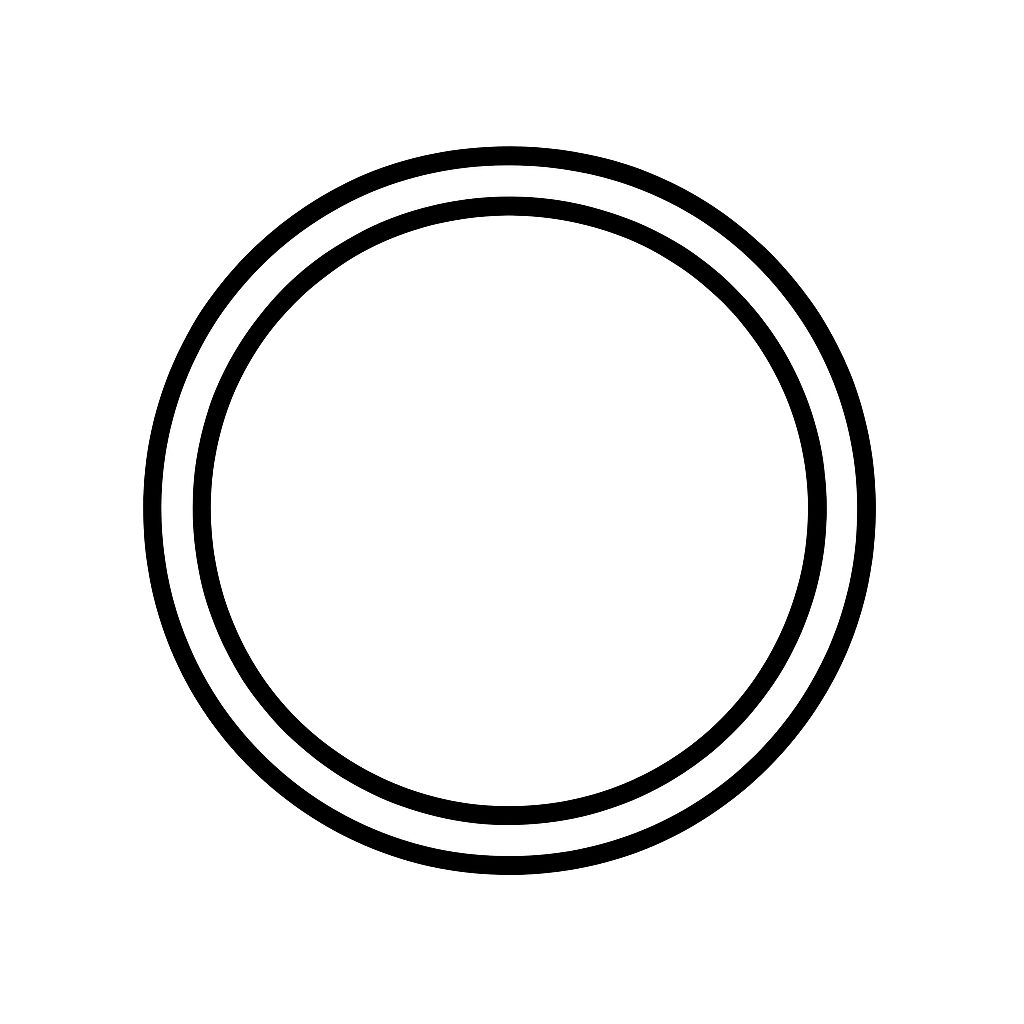 Fork Tube Cap Bolt O-Ring