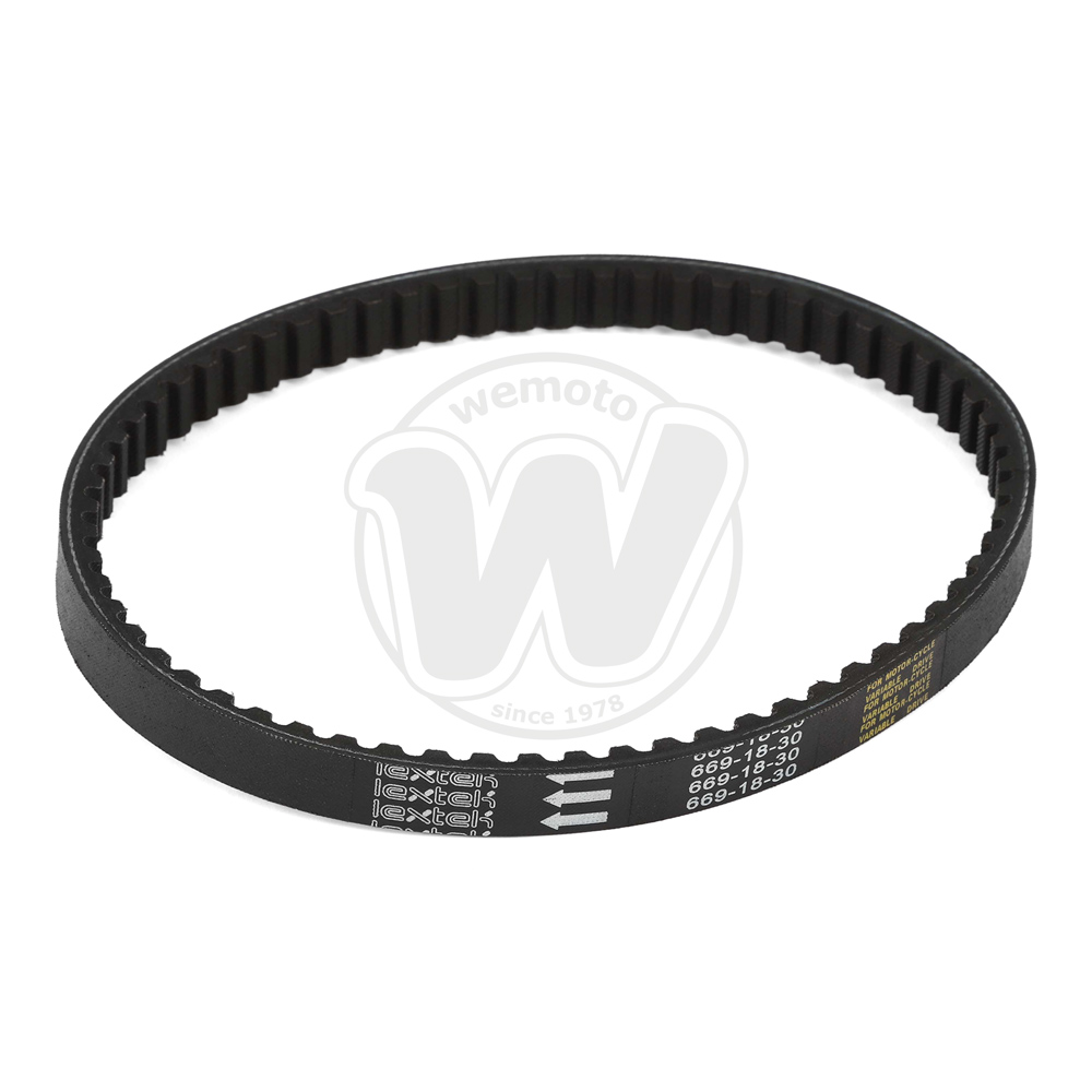 Cinghia di Trasmissione