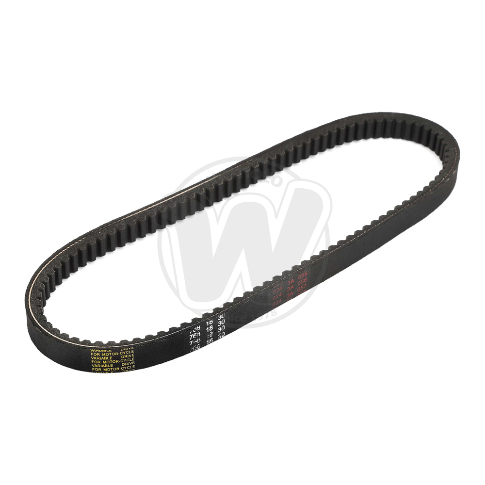 Cinghia di Trasmissione